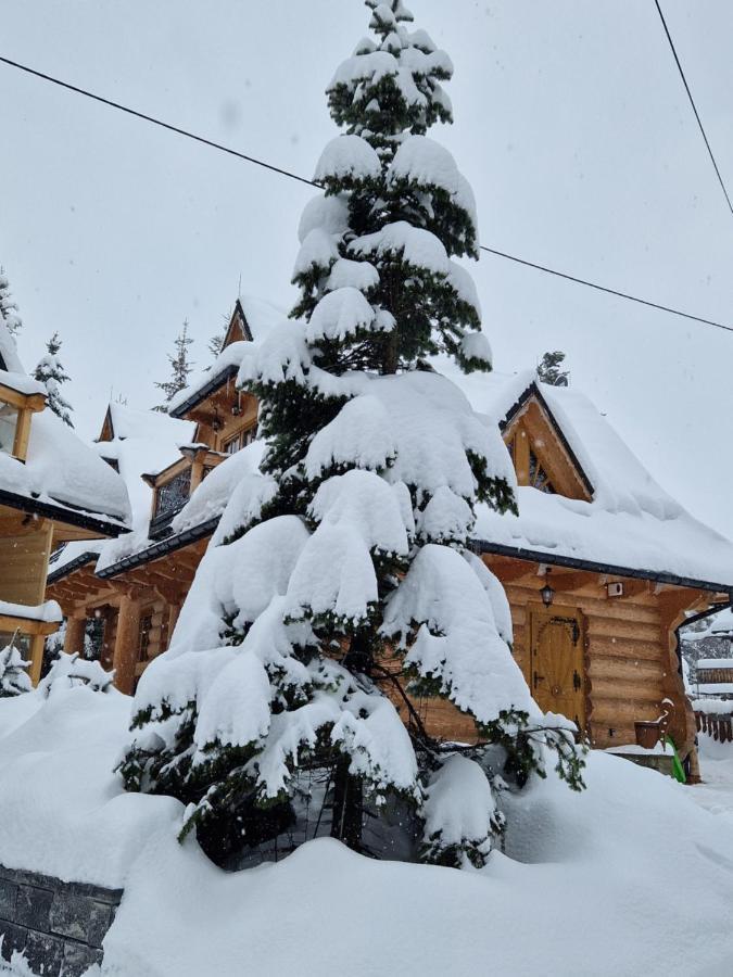 Two-Bedroom Chalet